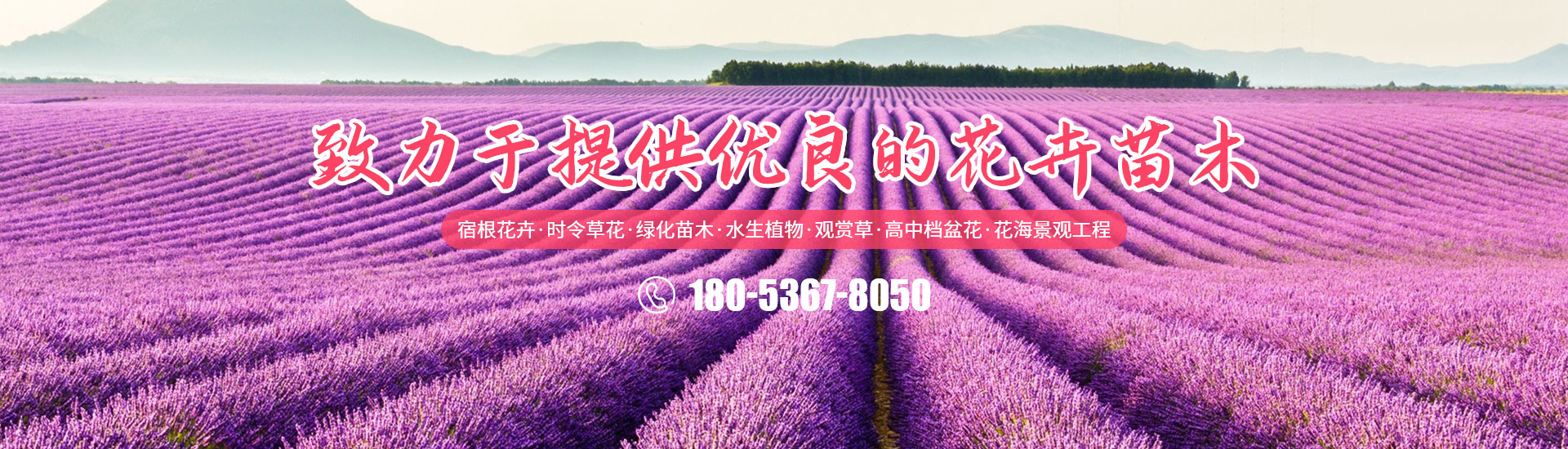 山東順意電器材料有限公司